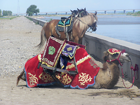 Kazak/China pic